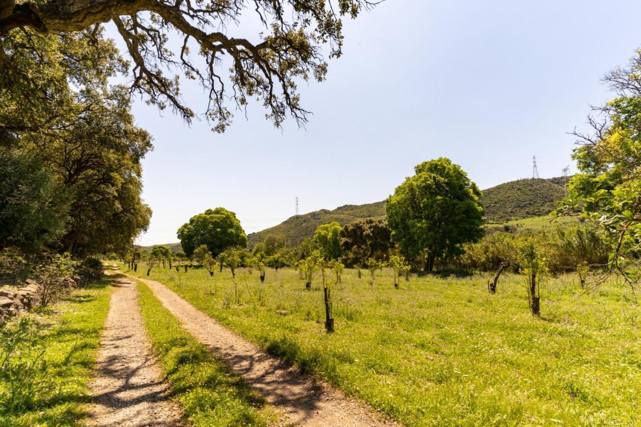 Finca Sta Teresa, Casa Grande エステポナ エクステリア 写真