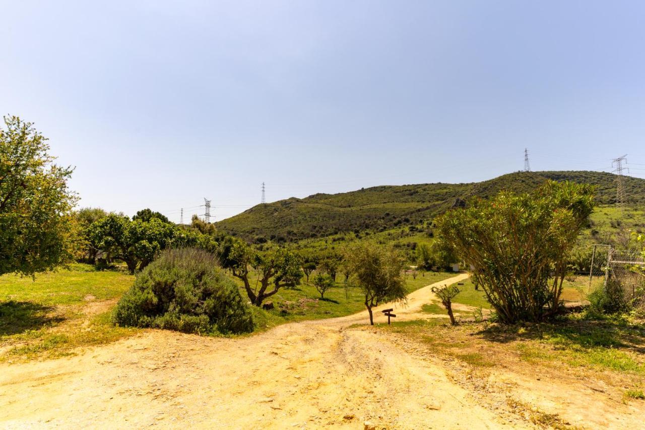 Finca Sta Teresa, Casa Grande エステポナ エクステリア 写真