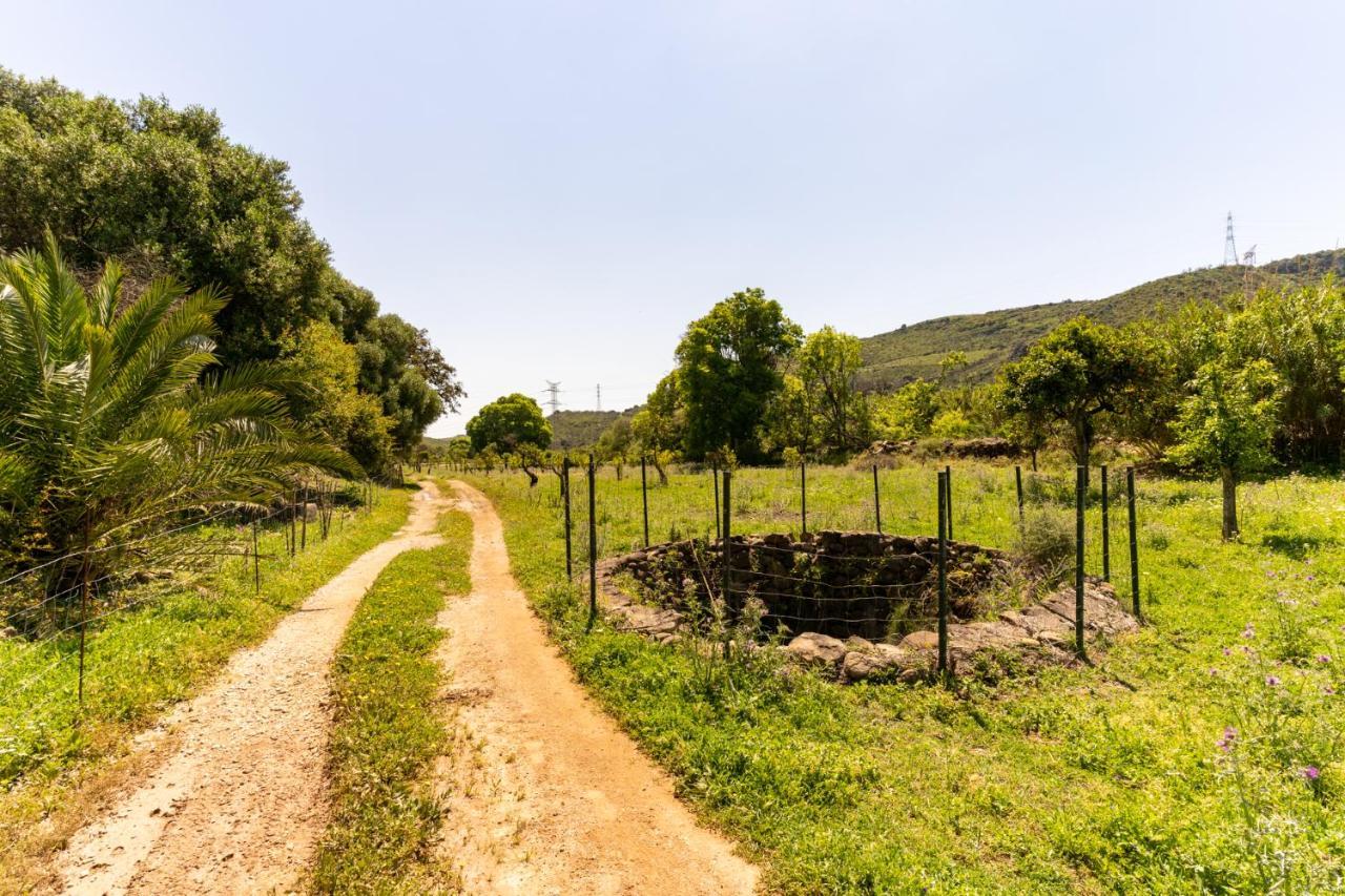 Finca Sta Teresa, Casa Grande エステポナ エクステリア 写真