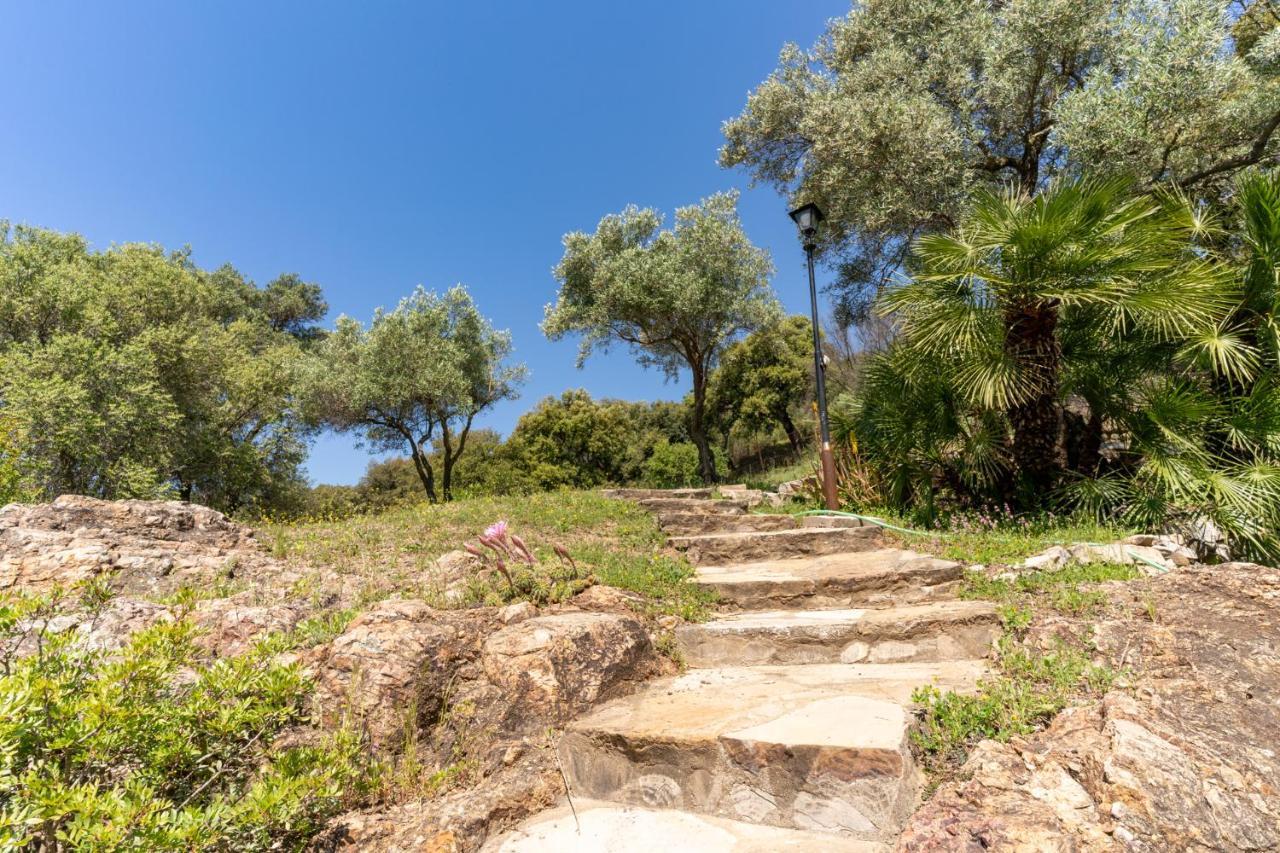 Finca Sta Teresa, Casa Grande エステポナ エクステリア 写真