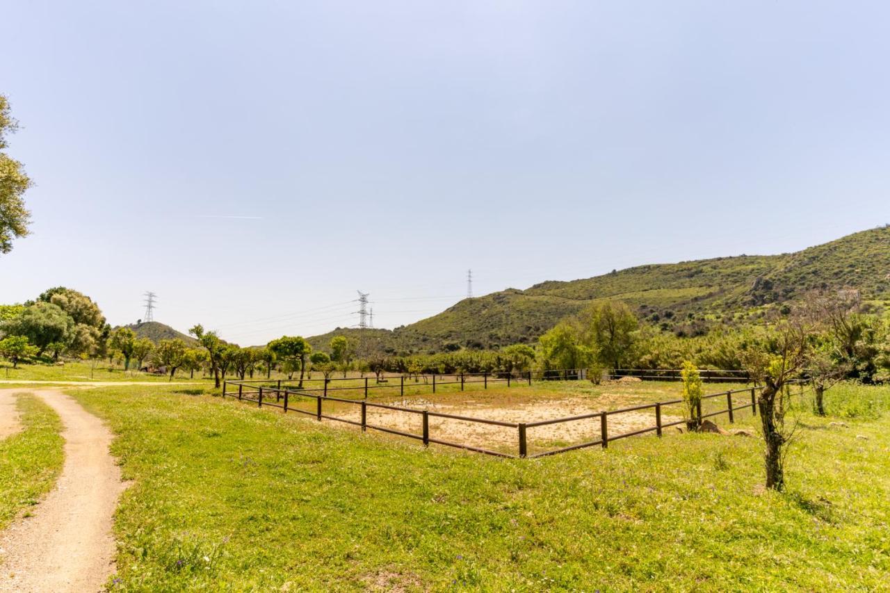 Finca Sta Teresa, Casa Grande エステポナ エクステリア 写真
