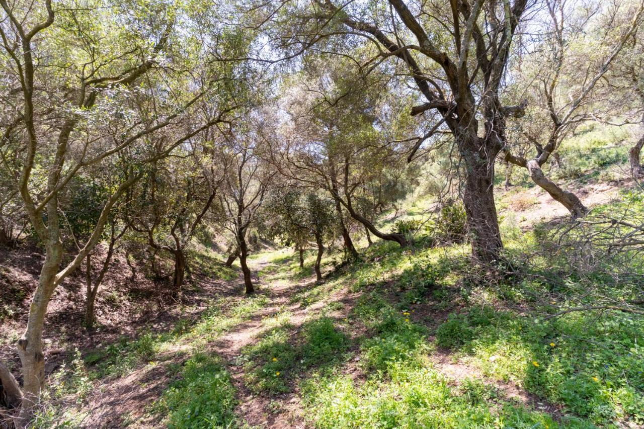 Finca Sta Teresa, Casa Grande エステポナ エクステリア 写真