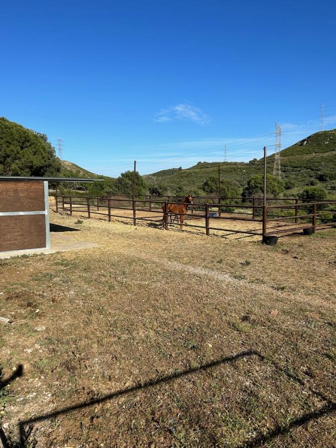 Finca Sta Teresa, Casa Grande エステポナ エクステリア 写真