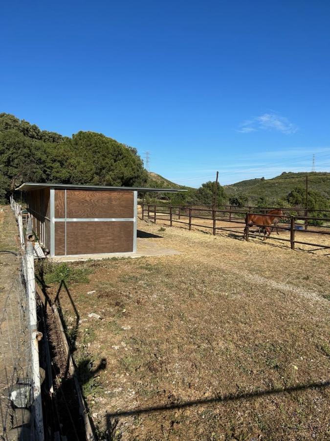 Finca Sta Teresa, Casa Grande エステポナ エクステリア 写真